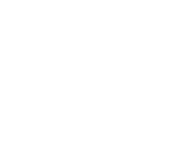Levis Logo Design